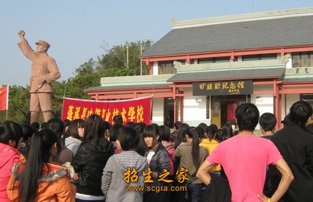 學(xué)?；顒?dòng)