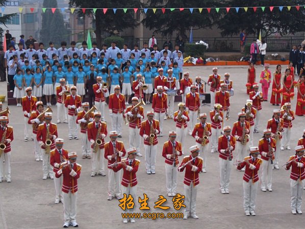 學(xué)?；顒?dòng)