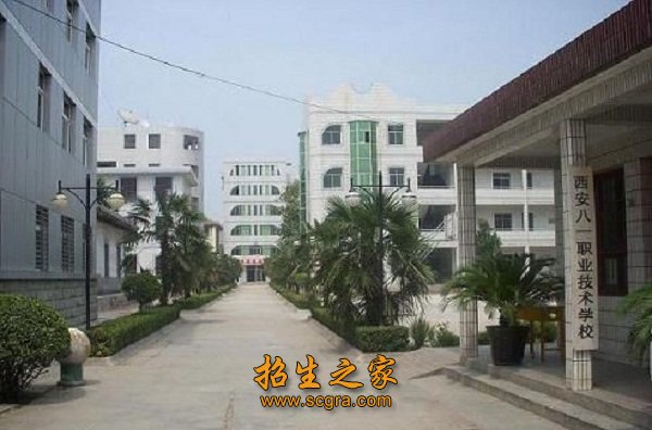 學(xué)校風(fēng)采