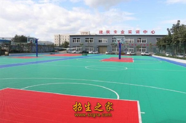 運(yùn)動(dòng)場(chǎng)地