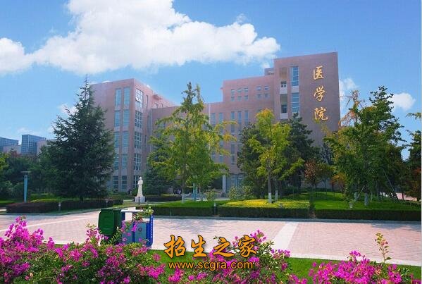 醫(yī)學院