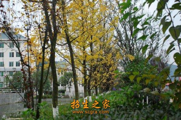 仙巖風(fēng)景區(qū)