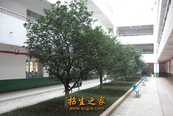 圖書(shū)館內(nèi)部