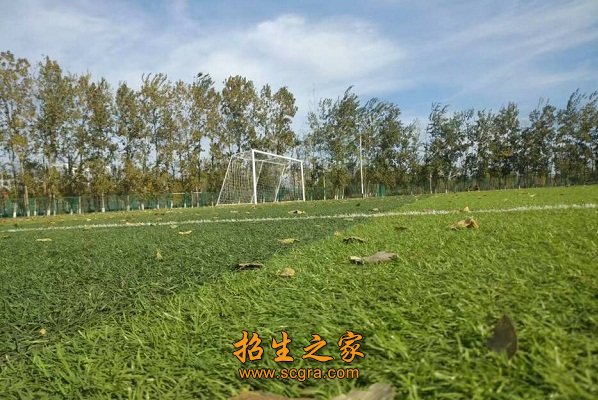 學(xué)校操場(chǎng)