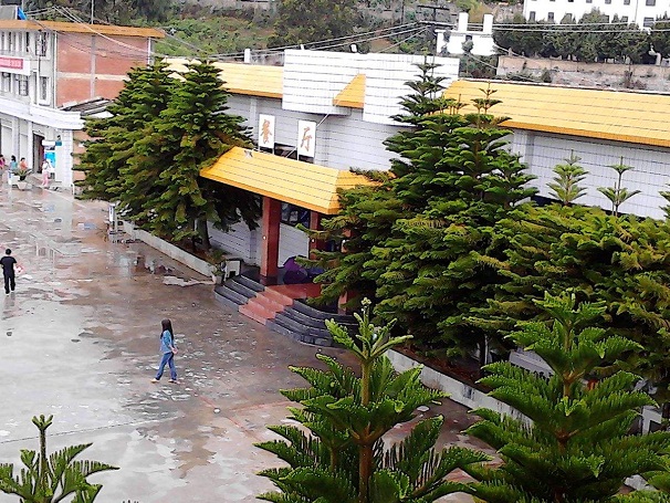 保山中醫(yī)藥高等?？茖W(xué)校