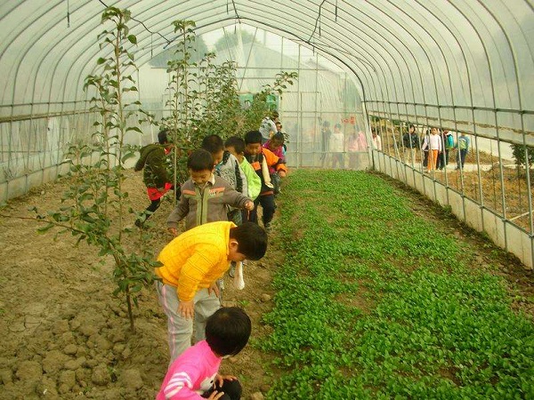 云南省園藝場學校