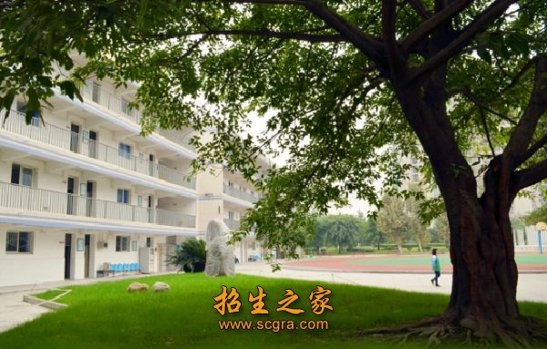 成都市洞子口職業(yè)高級中學(xué)