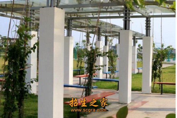 成都藝術(shù)職業(yè)學(xué)院開設(shè)專業(yè)和報考條件是什么