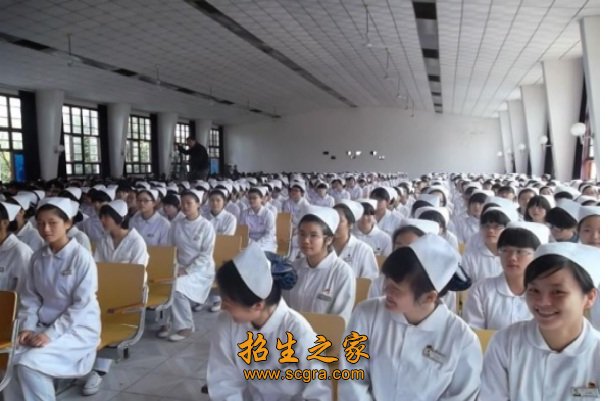 四川省成都衛(wèi)生學校