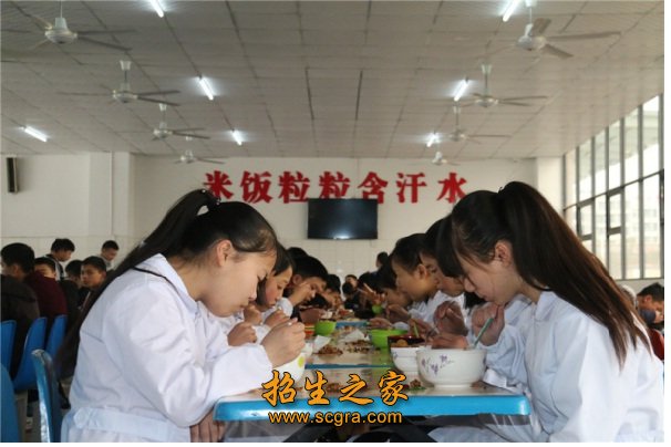 達州鳳凰職業(yè)技術(shù)學校報名條件_開設(shè)專業(yè)