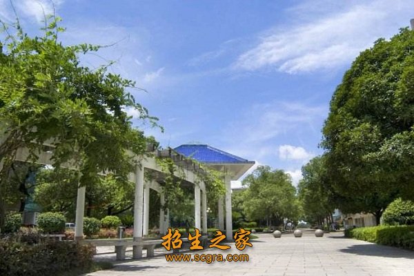 學(xué)校環(huán)境