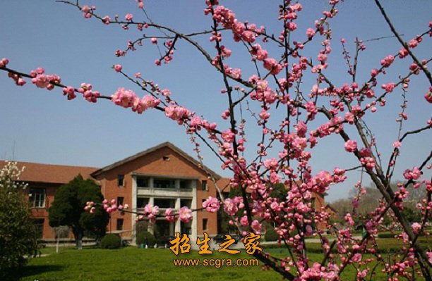 學(xué)校環(huán)境