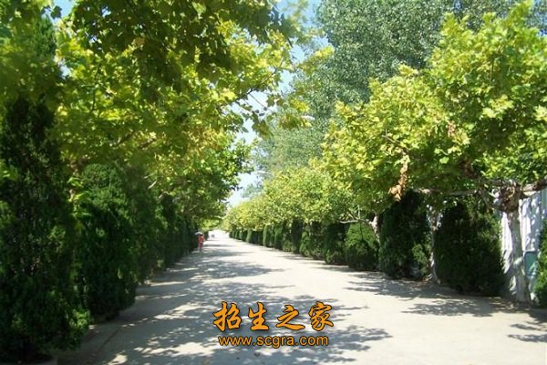 明達職業(yè)技術(shù)學院