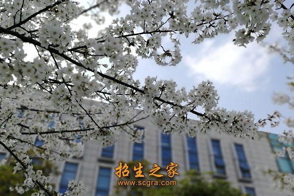 南京金陵中等專業(yè)學校