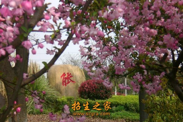 南京信息職業(yè)技術學院