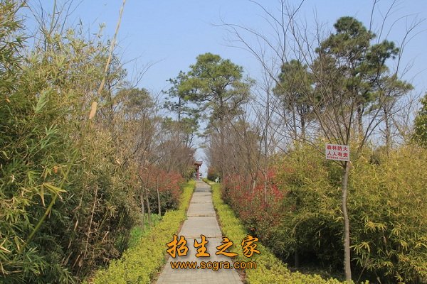 鎮(zhèn)江技師學院