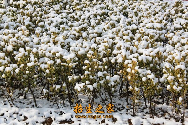 江陰華姿職業(yè)學校