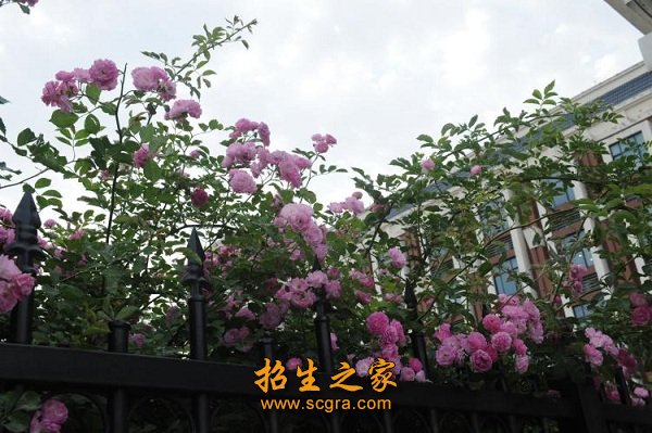 南京中華中等專(zhuān)業(yè)學(xué)校