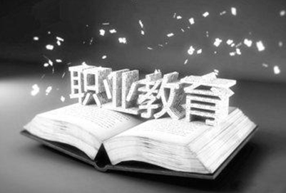 職業(yè)教育 職業(yè)教育