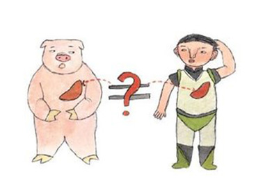 關(guān)于醫(yī)學(xué)專(zhuān)業(yè)，你都了解哪些?