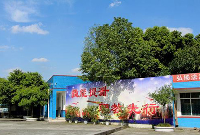 2020年成都棠湖科學(xué)技術(shù)學(xué)校招生要求