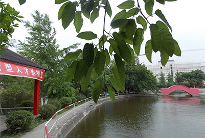 2020年綿陽市職業(yè)技術(shù)學(xué)校招生辦聯(lián)系電話