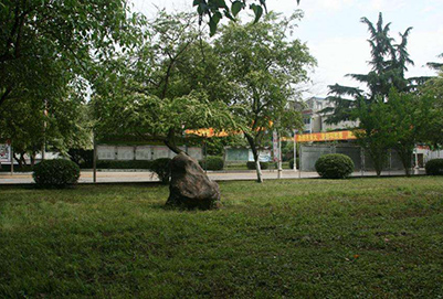 綿陽市服裝職業(yè)技術學校2020年招生計劃