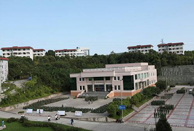 四川幼兒師范高等?？茖W(xué)校2020年招生計(jì)劃