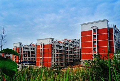 四川中醫(yī)藥高等?？茖W(xué)校2020年招生計(jì)劃