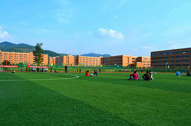 成都職業(yè)技術(shù)學(xué)院,告訴你,為啥選擇,計算機(jī)網(wǎng)絡(luò)技術(shù)專業(yè)