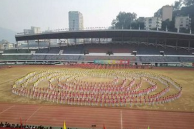 成金職業(yè)技術(shù)學(xué)校