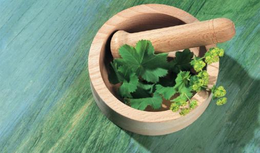 中醫(yī)學(xué)-中醫(yī)藥材