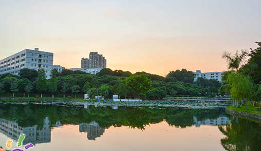 成都職業(yè)技術(shù)學(xué)院