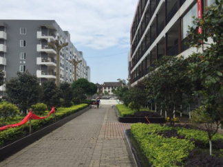 成都的職業(yè)學(xué)校,藥劑專業(yè)