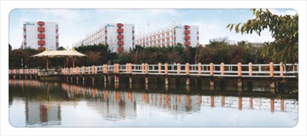 學(xué)校一角 學(xué)校一角