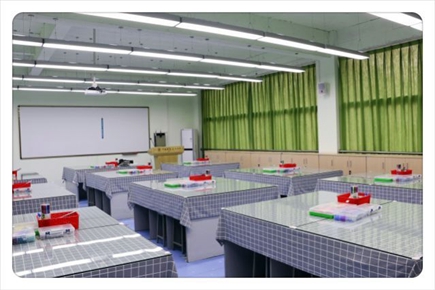 早教教室 早教教室