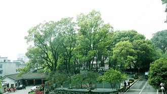 四川省質(zhì)量技術(shù)監(jiān)督學(xué)校