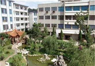 護理專業(yè) 護理專業(yè)