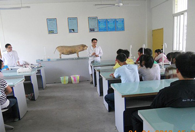 宜賓縣柳嘉職業(yè)技術(shù)學(xué)校老師演示注射器的使用