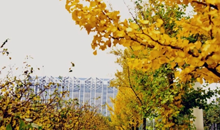 四川省護(hù)理職業(yè)學(xué)院(原四川省衛(wèi)生學(xué)校)護(hù)理專業(yè)