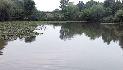  廣安職業(yè)技術(shù)學(xué)院