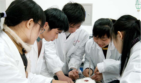 （川北醫(yī)學(xué)院）教學(xué)活動