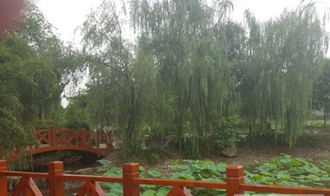 成都信息技術學校