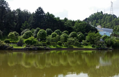 成都市商洛衛(wèi)生學校2020有哪些專業(yè)及什么專業(yè)好