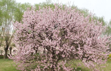 四川省宜賓衛(wèi)生學(xué)校地址在哪里
