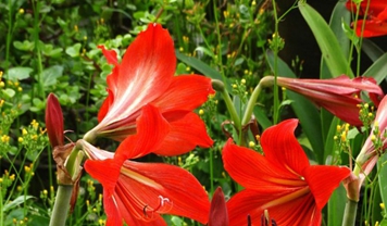 廣元職工醫(yī)學院宿舍條件及圖片