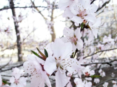 四川省宜賓衛(wèi)生學校招生老師QQ及電話