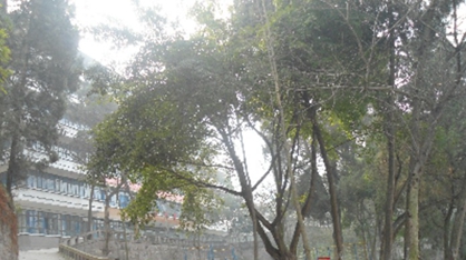 四川省法商專(zhuān)修學(xué)院2020招生辦電話及聯(lián)系方式