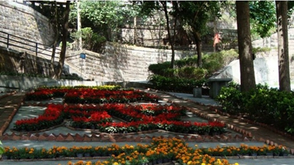 四川省法商專修學(xué)院2020報名時間及報名方式