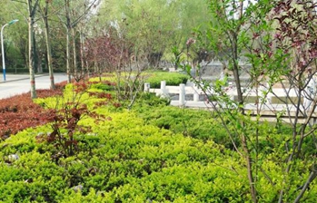 廣元職工醫(yī)學(xué)院2020報(bào)名時(shí)間及報(bào)名方式